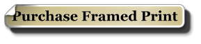 Purchase Framed Print