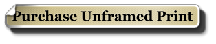 Purchase Unframed Print