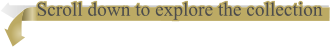 Scroll down to explore the collection